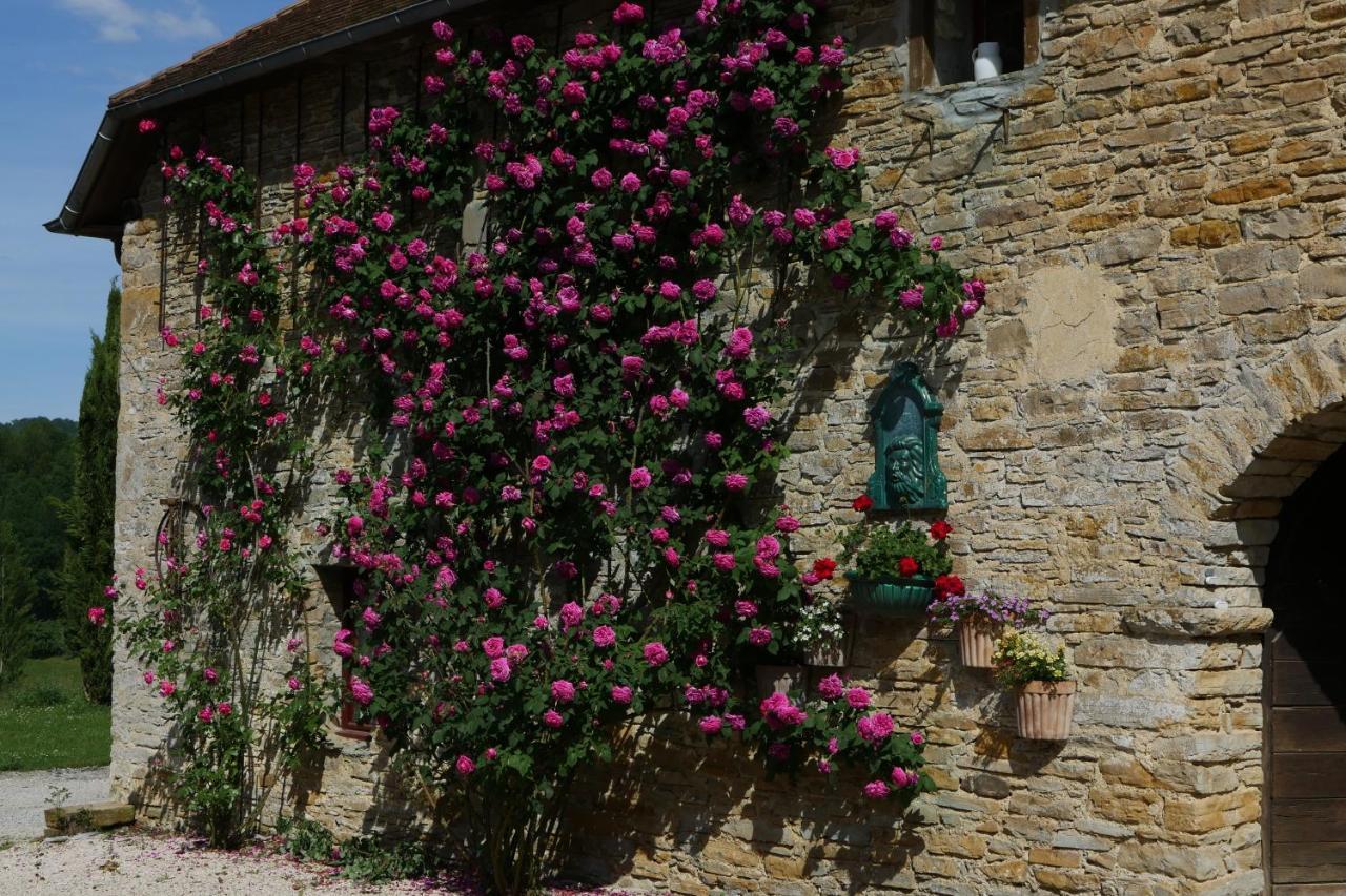 Chambres D'Hotes Secret Pyrenees Lasseube Kültér fotó